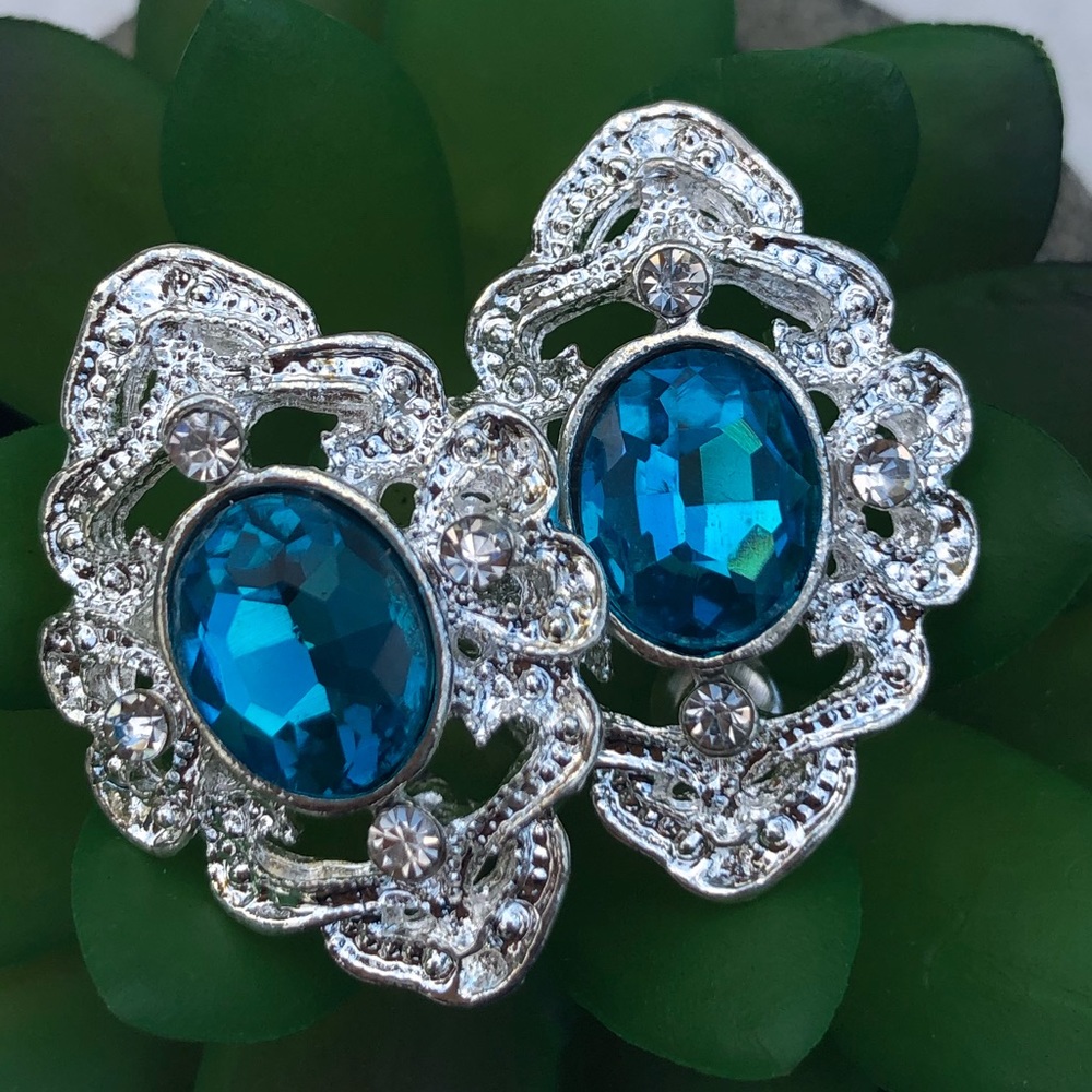 Classic timeless feel earrings with blue center. 💙